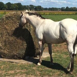 Hay net for 6x6 big round bales